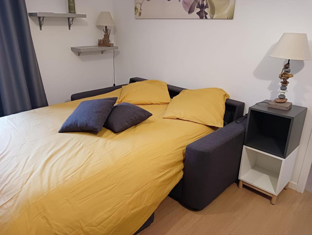 La Marmotte Appartement T2 Classe 3 Etoiles Aulus-les-Bains Ngoại thất bức ảnh